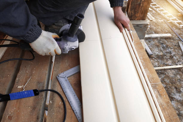 Affordable Siding Repair and Maintenance Services in Fraser, MI
